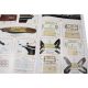 Mantua Model Cutty Sark Le Piccole 1:100 kit