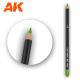 Watercolor Pencil Light Green