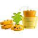 LEGO DUPLO - Pěstování mrkve