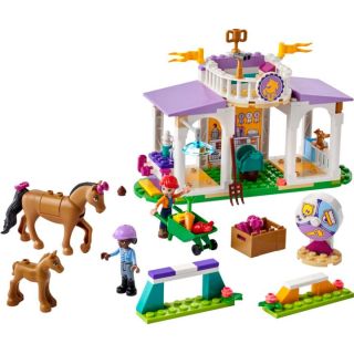LEGO Friends - Výcvik koní