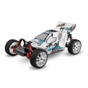 FG Leopard 4 Buggy, 4WD, RTR