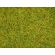 Statická tráva, letná lúka, 2,5 mm, 20 g