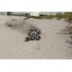 LRP S10 Twister Buggy Brushless RTR - 1/10 Electric 2WD s 2,4GHz RC