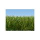 Divoká tráva béžová 12mm, 80g