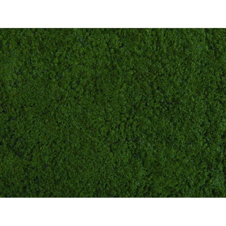 Foliáž tmavo zelená, 20 x 23 cm