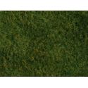 Foliáž divoká tráva, svetlo zelená, 20 x 23 cm
