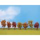 Jesenné stromčeky 7 ks, 8 - 10 cm  NO25070