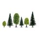 Zmiešané lesné stromy, 10 ks, 5 - 14 cm  NO26911