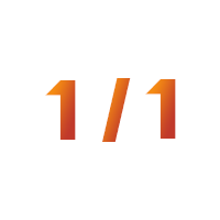 1/1