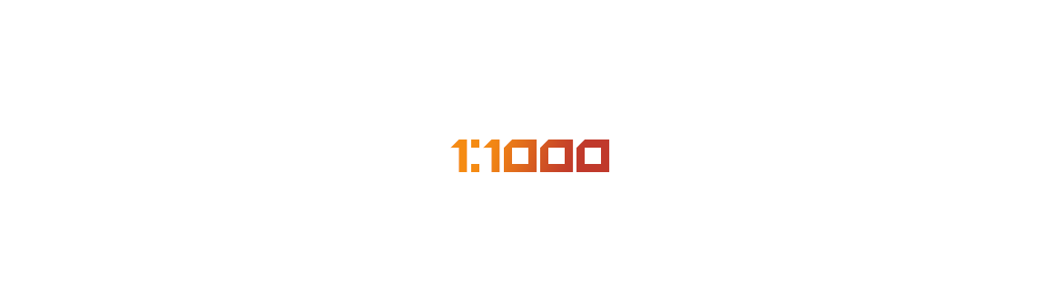 1:1000