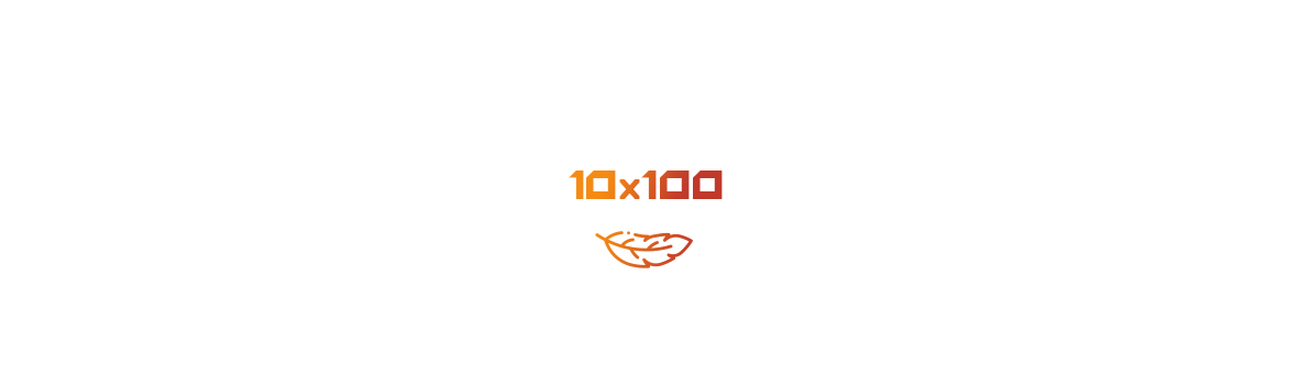 Prkénka 10x100 lehká